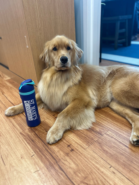 Water Bottle -Blue